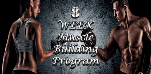 Gym Workout Schedule PC screenshot