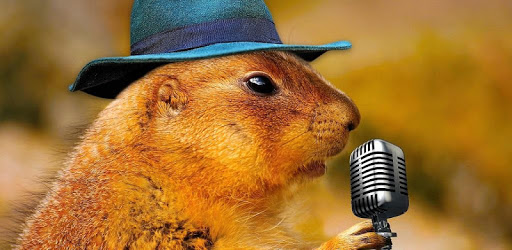 Animals and Ringtones PC screenshot Animals and Ringtones PC screenshot