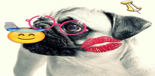 Emoji Sticker Photo Editor PC screenshot