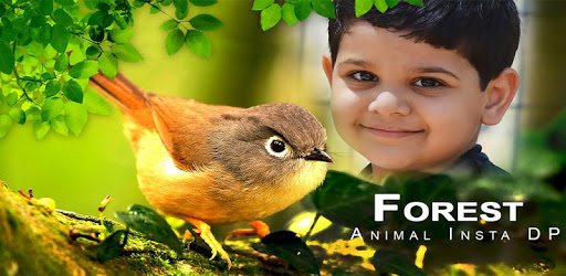 Love Bird Insta DP – Forest Animal Insta DP Maker PC screenshot Love Bird Insta DP – Forest Animal Insta DP Maker PC screenshot