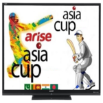 Pakistan vs Australia Live HD Streaming for PC Pakistan vs Australia Live HD Streaming for PC