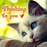Romantic Pictures for Whatsapp for PC Romantic Pictures for Whatsapp for PC