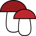 Mushroom identification from photos for PC Mushroom identification from photos for PC