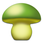 Mushroom - Mushtool for PC Mushroom - Mushtool for PC