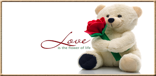 Latest Teddy Bear Gallery 2018 (Offline) PC screenshot