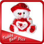Latest Teddy Bear Gallery 2018 (Offline) for PC
