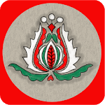 Pocket Hungarian for PC