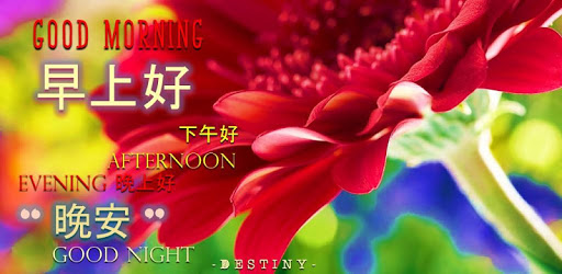 Chinese & English Morning Afternoon Evening Night PC screenshot Chinese & English Morning Afternoon Evening Night PC screenshot