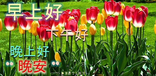 Chinese Good Morning Noon Good Night Love PC screenshot