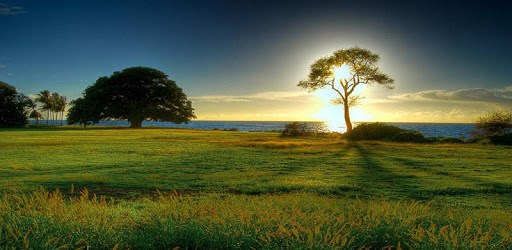 Nature Wallpaper HD PC screenshot