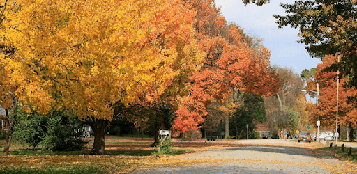 Bass Pro Marathon PC screenshot