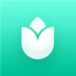 PlantIn: Plant Identification for PC PlantIn: Plant Identification for PC
