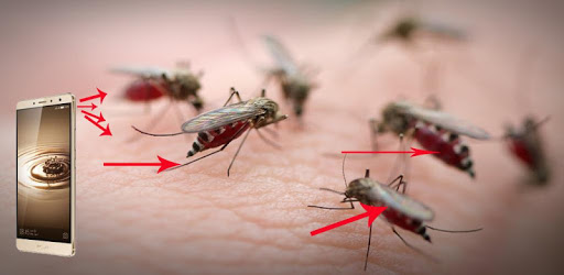 Mosquitoes Repellent Prank PC screenshot Mosquitoes Repellent Prank PC screenshot