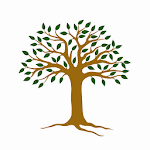 PPM Nabr icon