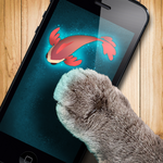 Fish game toy for cats icon