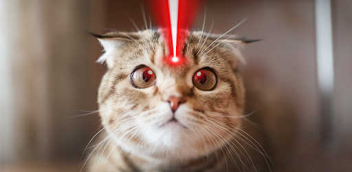 Real laser for cat joke PC screenshot