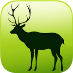 NMBANIMAL3D - Nanmeebooks for PC