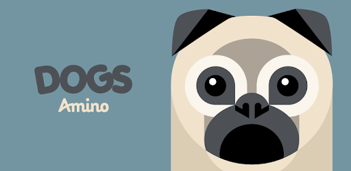 Dogs Amino PC screenshot