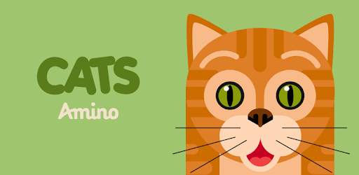 Cats Amino PC screenshot Cats Amino PC screenshot