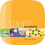 10th Science NCERT Textbook icon