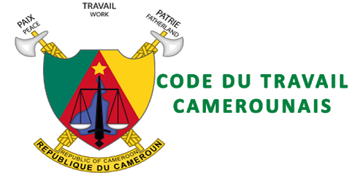 Cameroon Labor Code PC screenshot