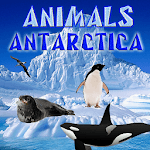 Antarctica Animals for PC Antarctica Animals for PC
