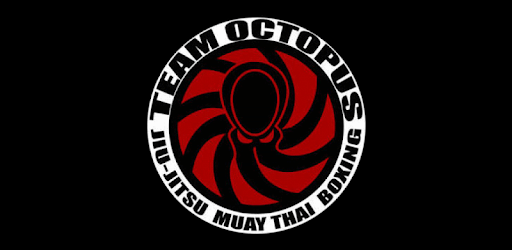 Team Octopus PC screenshot