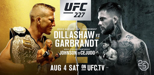 UFC PC screenshot UFC PC screenshot