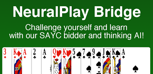 Bridge by NeuralPlay PC screenshot Bridge by NeuralPlay PC screenshot