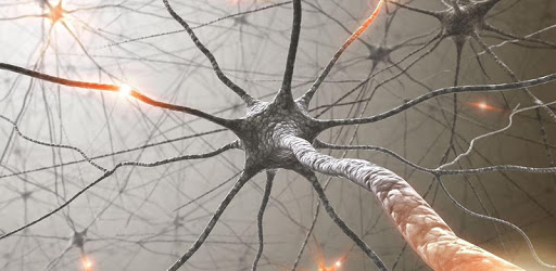 Neurons PC screenshot Neurons PC screenshot