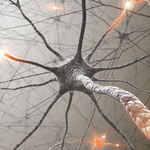 Neurons icon