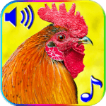 Funny Alarm Ringtones for PC Funny Alarm Ringtones for PC