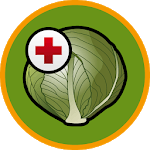 Brassica diseases for PC Brassica diseases for PC