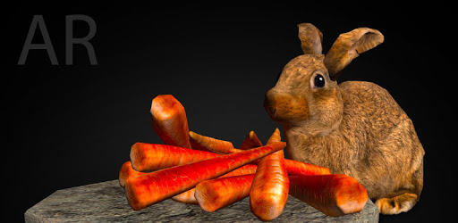 Bunny AR PC screenshot Bunny AR PC screenshot