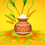 Pongal Kolam videos - Sankranthi Muggulu designs icon