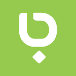 Bleems icon
