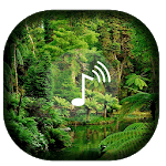 Rain sounds-Jungle for PC