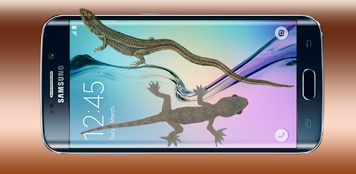 Lizard On Screen PC screenshot Lizard On Screen PC screenshot