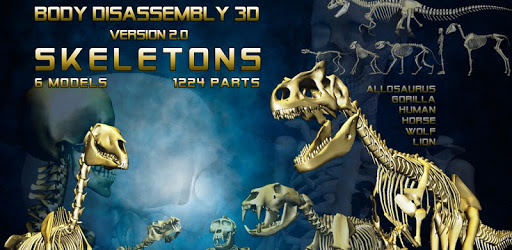 Body Disassembly 3D PC screenshot