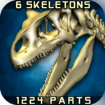 Body Disassembly 3D for PC