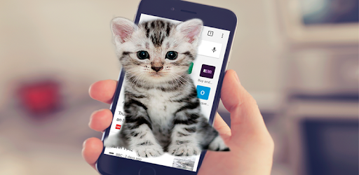 Cat Walks In Phone Funny Joke - Cute Joke PC screenshot