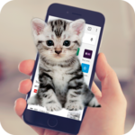 Cat Walks In Phone Funny Joke - Cute Joke icon