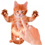 Tickle Talking Cat for PC Tickle Talking Cat for PC
