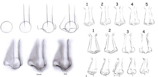 Nose Drawing Step by Step PC screenshot Nose Drawing Step by Step PC screenshot