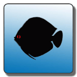 Aquarium Calculator for PC