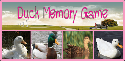 Duck Memory Game PC screenshot