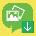 Status Saver for WhatsApp Business and WhatsApp for PC Status Saver for WhatsApp Business and WhatsApp for PC