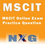 MSCIT Online Exam Practice icon