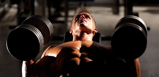 gym workout - home workout - gym workout guide PC screenshot