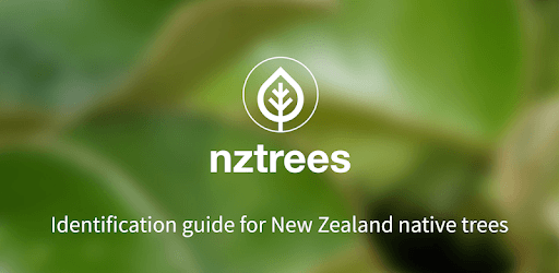 NZ Trees PC screenshot NZ Trees PC screenshot